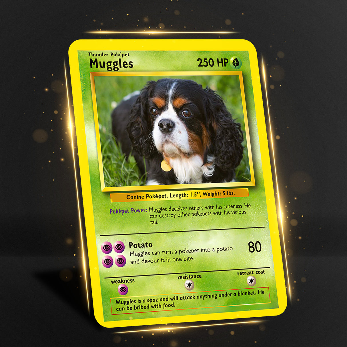 Möchten Sie eine Metallkarte?